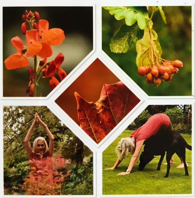Wellness Workshops